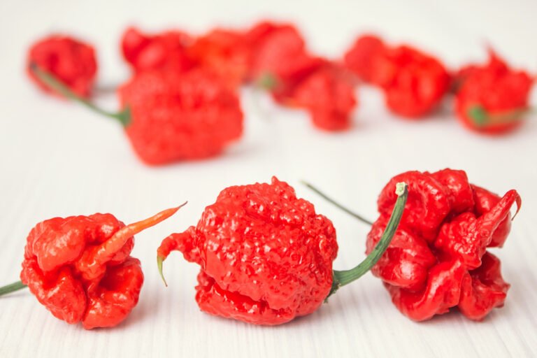 Eat2Gather wEETje welke peper de aller heetste ter wereld is? Eat2Gather wEETje welke peper de aller heetste ter wereld is?