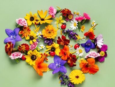 Eat2Gather brein van bloemen