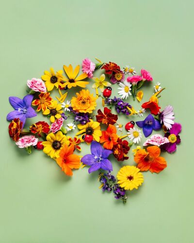 Eat2Gather brein van bloemen